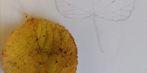 Newsletter November 2025