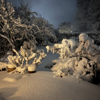 Newsletter Kulturelle Bildung in Kiel Februar–März 2026