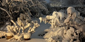 Newsletter Kulturelle Bildung in Kiel Februar–März 2026