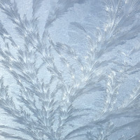 Newsletter Kulturelle Bildung Januar 2026