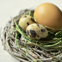 Newsletter Kulturelle Bildung - März 2026 - Kreis Segeberg und Hansestadt Lübeck