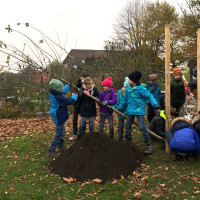 LandverWALDung - Kinder pflanzen Bäume und arbeiten an einer sozialen Plastik