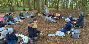 Mitweltgeschichten im Schulwald (er)finden